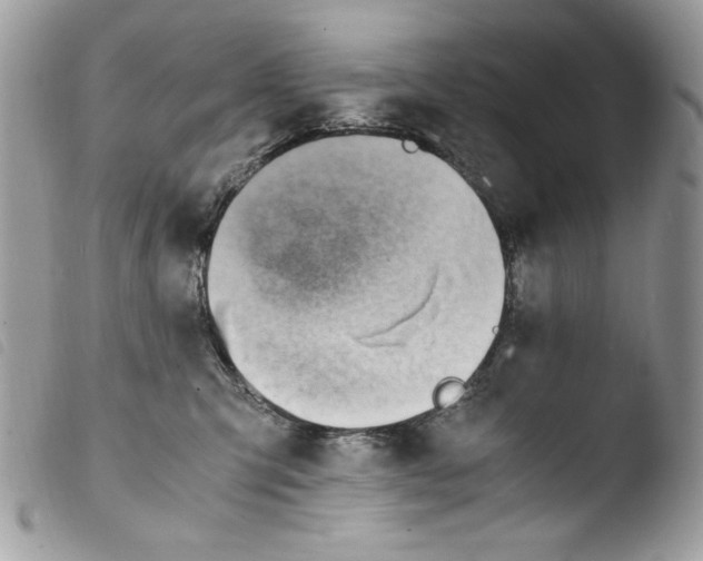 X0000103960423200810171906