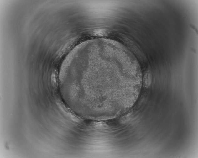 X0000103960424200810171906