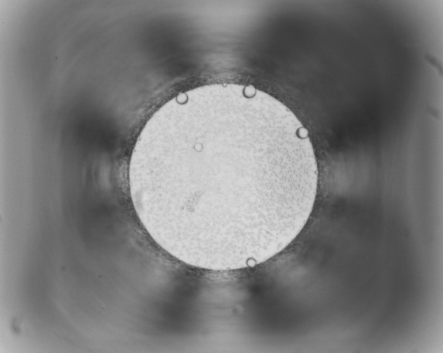 X0000103960425200810171906