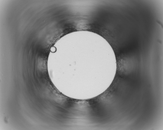 X0000103960426200810171906