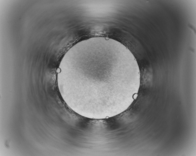 X0000103960427200810171906