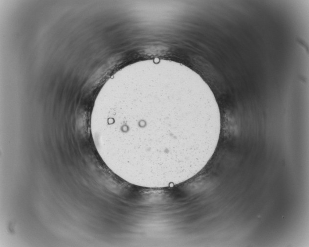 X0000103960428200810171906