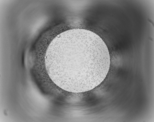 X0000103960429200810171906