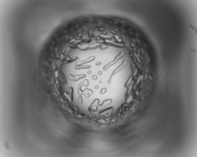 X0000103960431200810171906