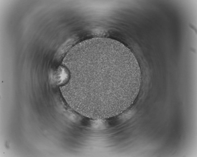 X0000103960432200810171906