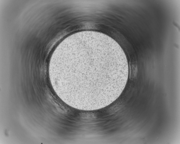 X0000103960435200810171905