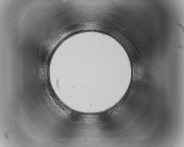 X0000103960436200810171905