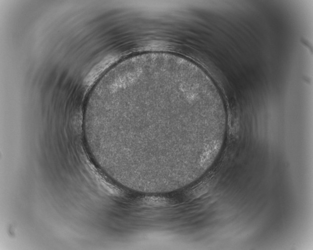 X0000103960437200810171905