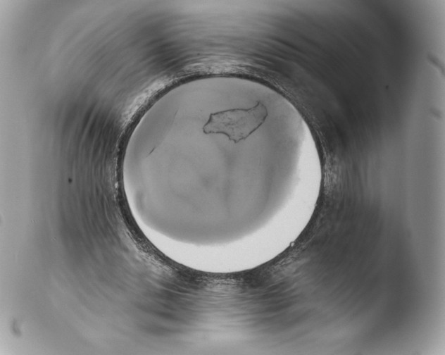 X0000103960438200810171905