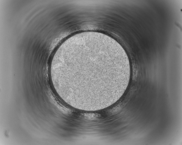 X0000103960439200810171905