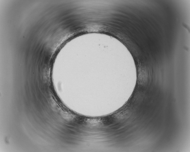 X0000103960440200810171905