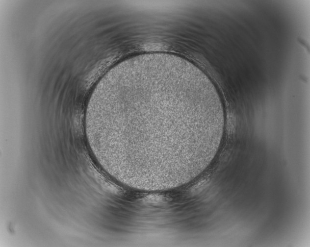 X0000103960441200810171905