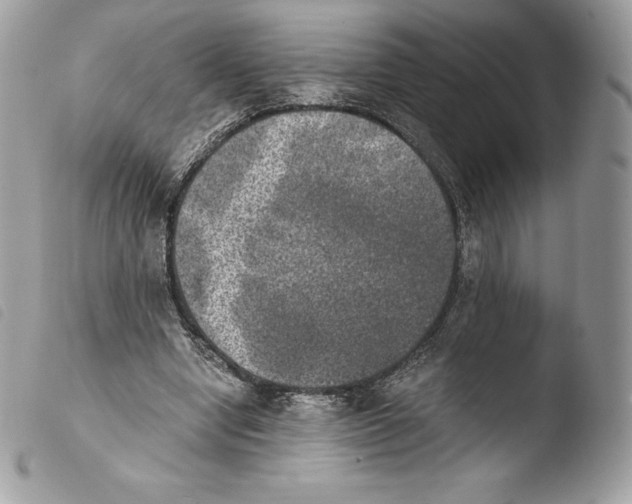 X0000103960442200810171905