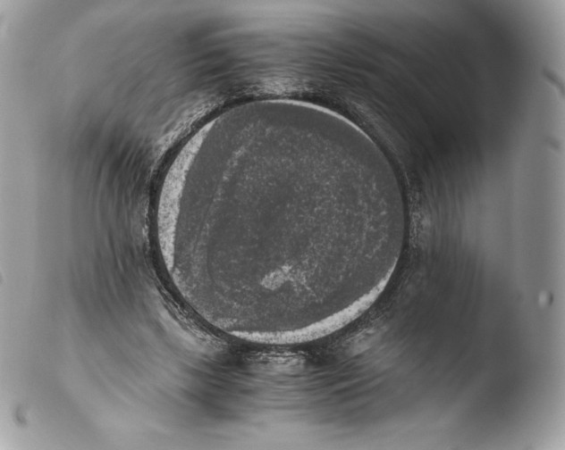 X0000103960443200810171905