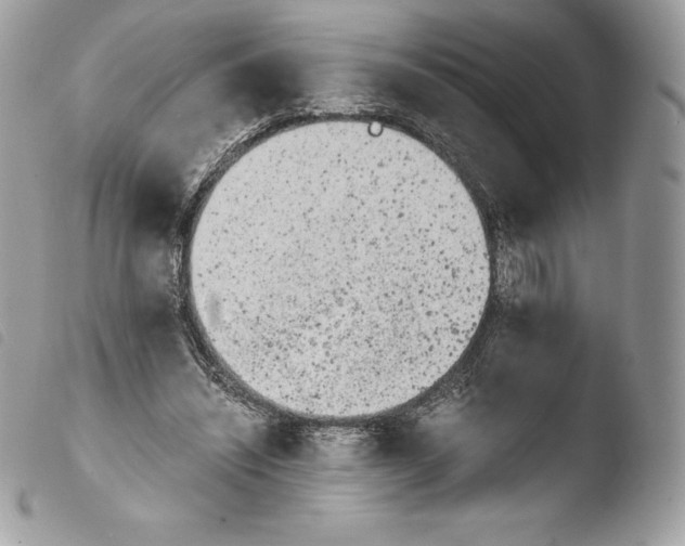 X0000103960444200810171905