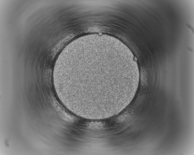 X0000103960445200810171905