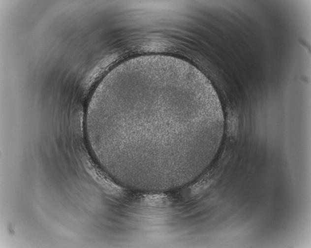 X0000103960446200810171905