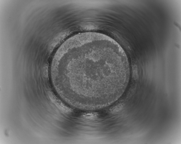 X0000103960447200810171905