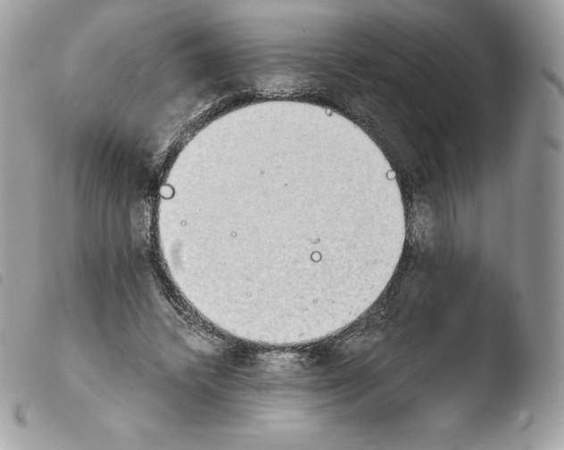 X0000103960448200810171905