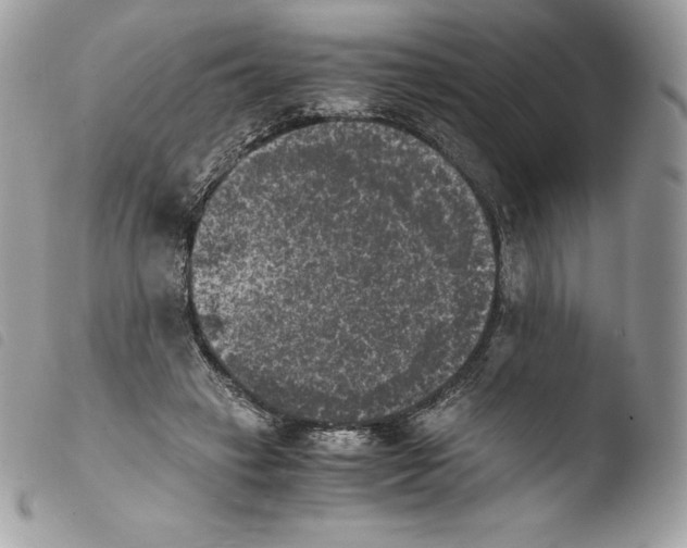 X0000103960449200810171905