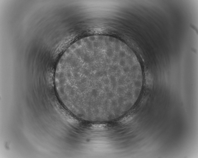 X0000103960450200810171905