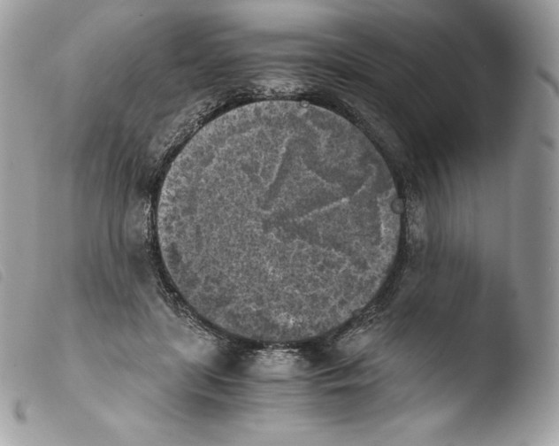 X0000103960451200810171905