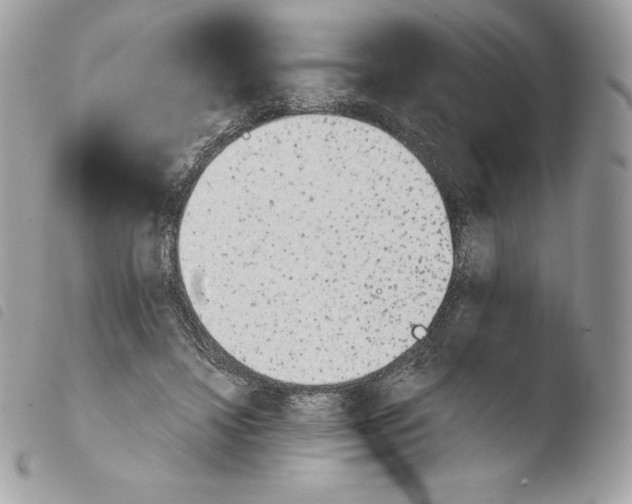 X0000103960452200810171905