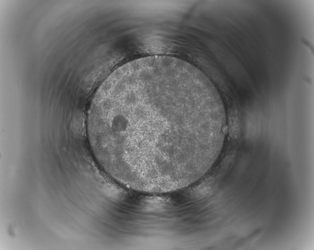 X0000103960453200810171905