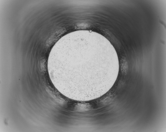 X0000103960455200810171905