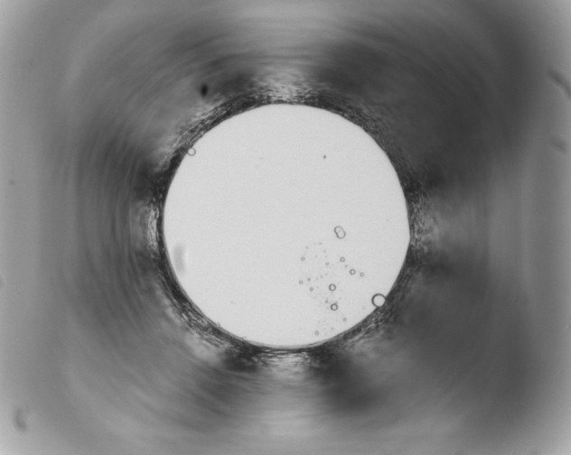 X0000103960456200810171905