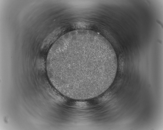 X0000103960457200810171905