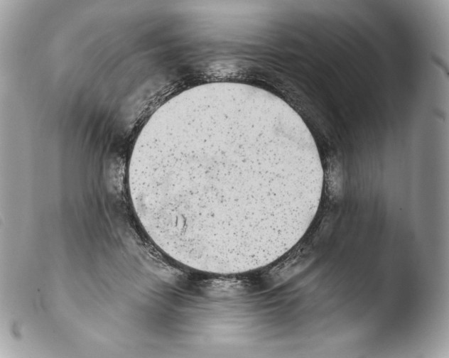 X0000103960458200810171905