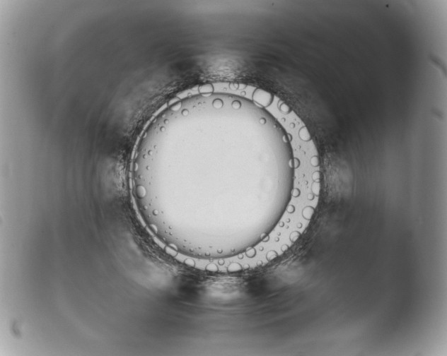 X0000103960459200810171905