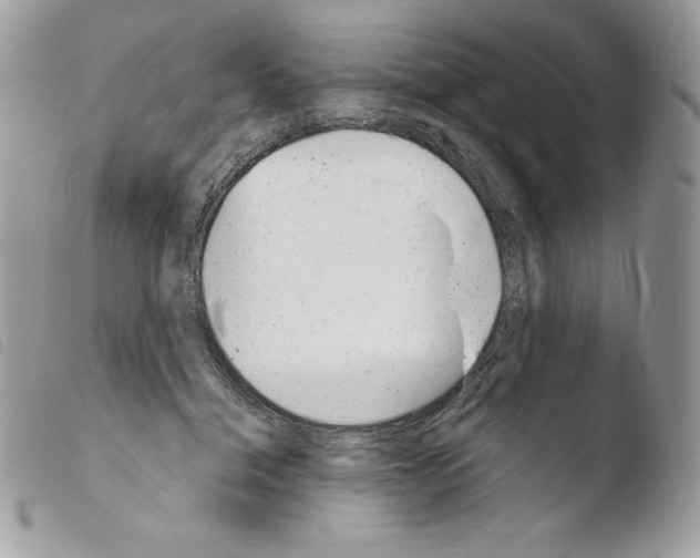 X0000103960460200810171905