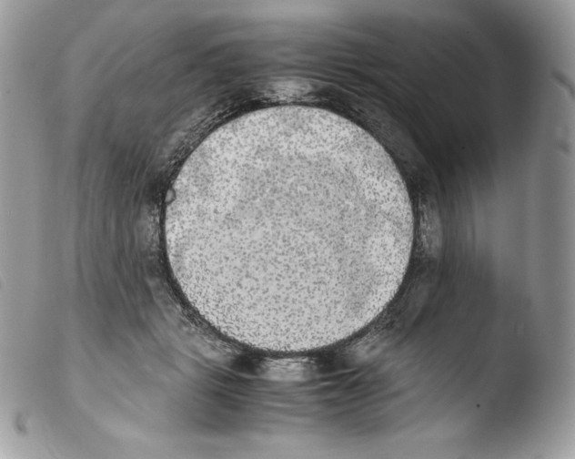 X0000103960461200810171905