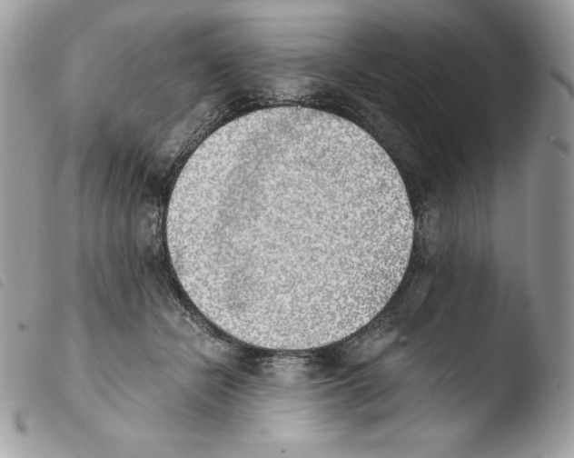 X0000103960462200810171905