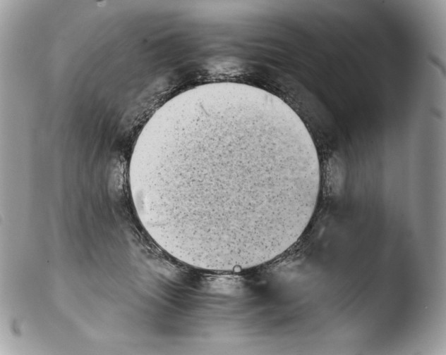 X0000103960463200810171905