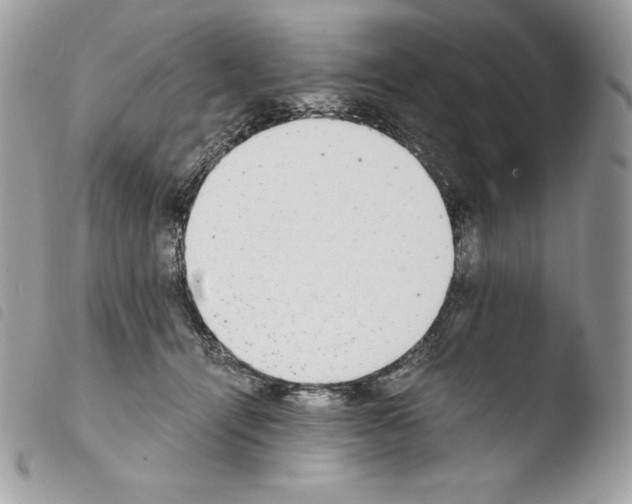 X0000103960464200810171906