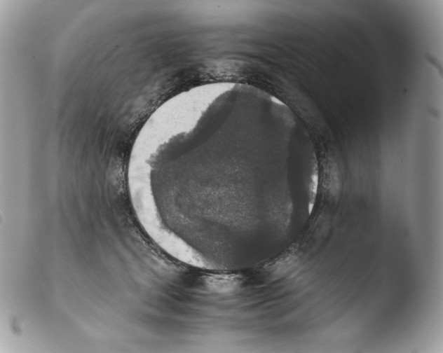 X0000103960465200810171906