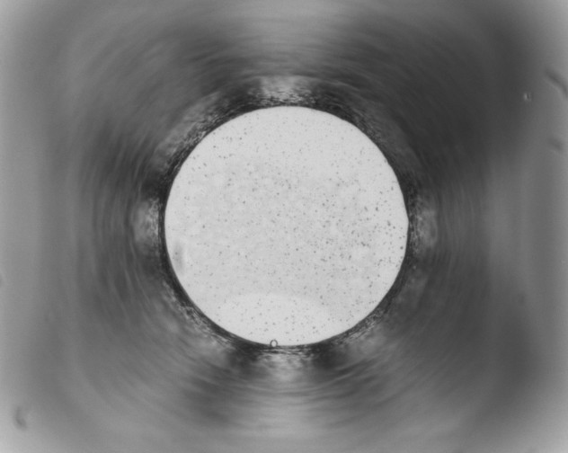 X0000103960466200810171906