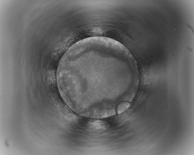 X0000103960467200810171906