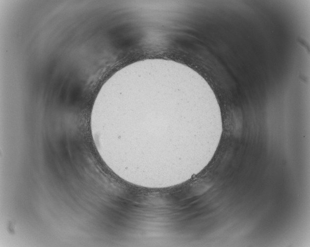 X0000103960468200810171906