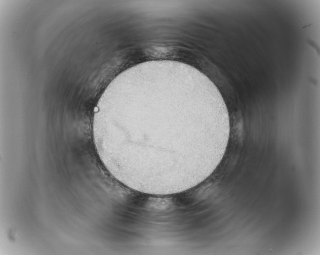 X0000103960469200810171906