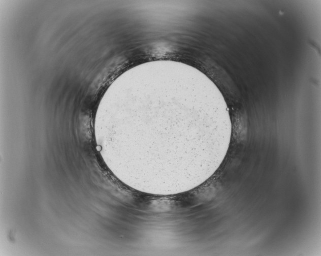 X0000103960470200810171906