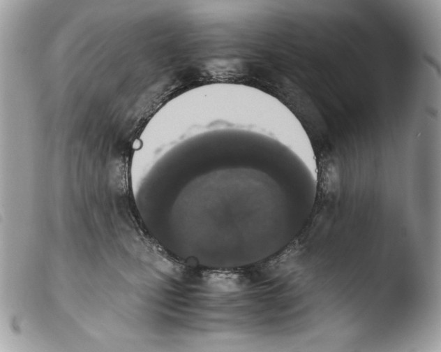 X0000103960471200810171906