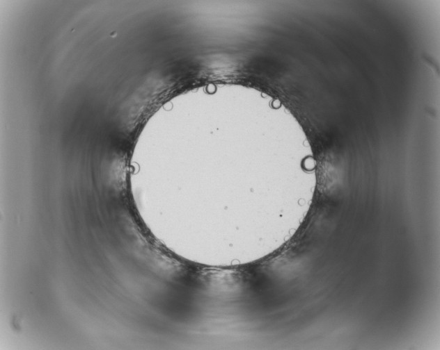 X0000103960472200810171906