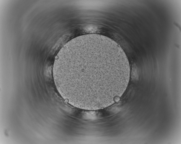 X0000103960473200810171906