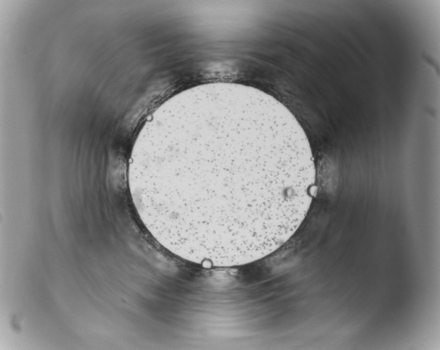 X0000103960474200810171906