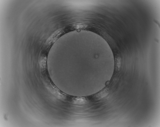 X0000103960475200810171906