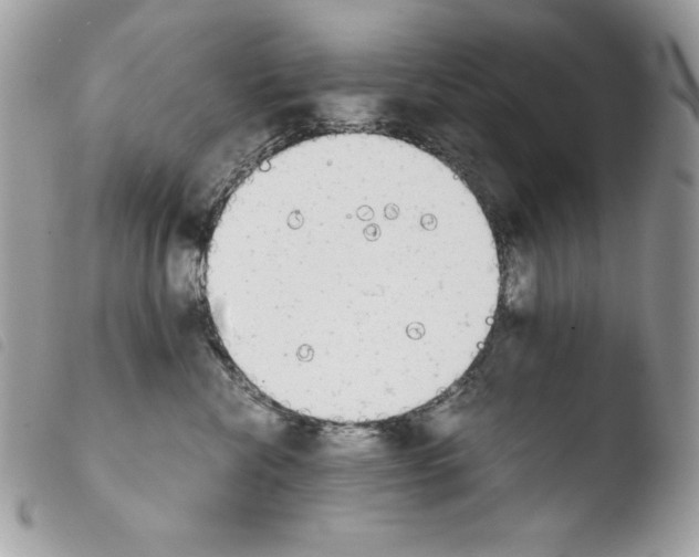 X0000103960476200810171906